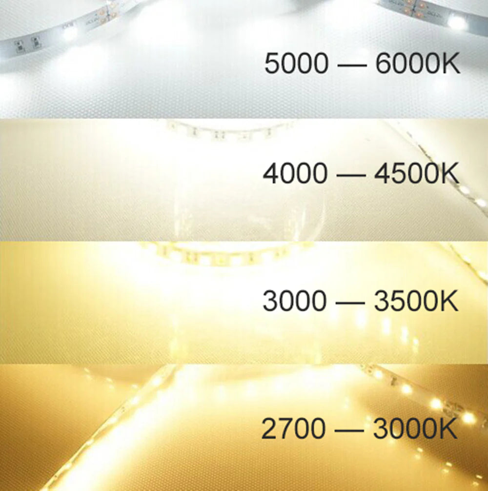 SMD5050 High Brightness LED Strip Light | 5M | DC 12V | 60 LEDs/m | 10mm PCB | 26–28lm/LED | Low Voltage LED Tape | IP00 / IP67 | Warm White / Natural White / Cool White / Golden Yellow / Pink