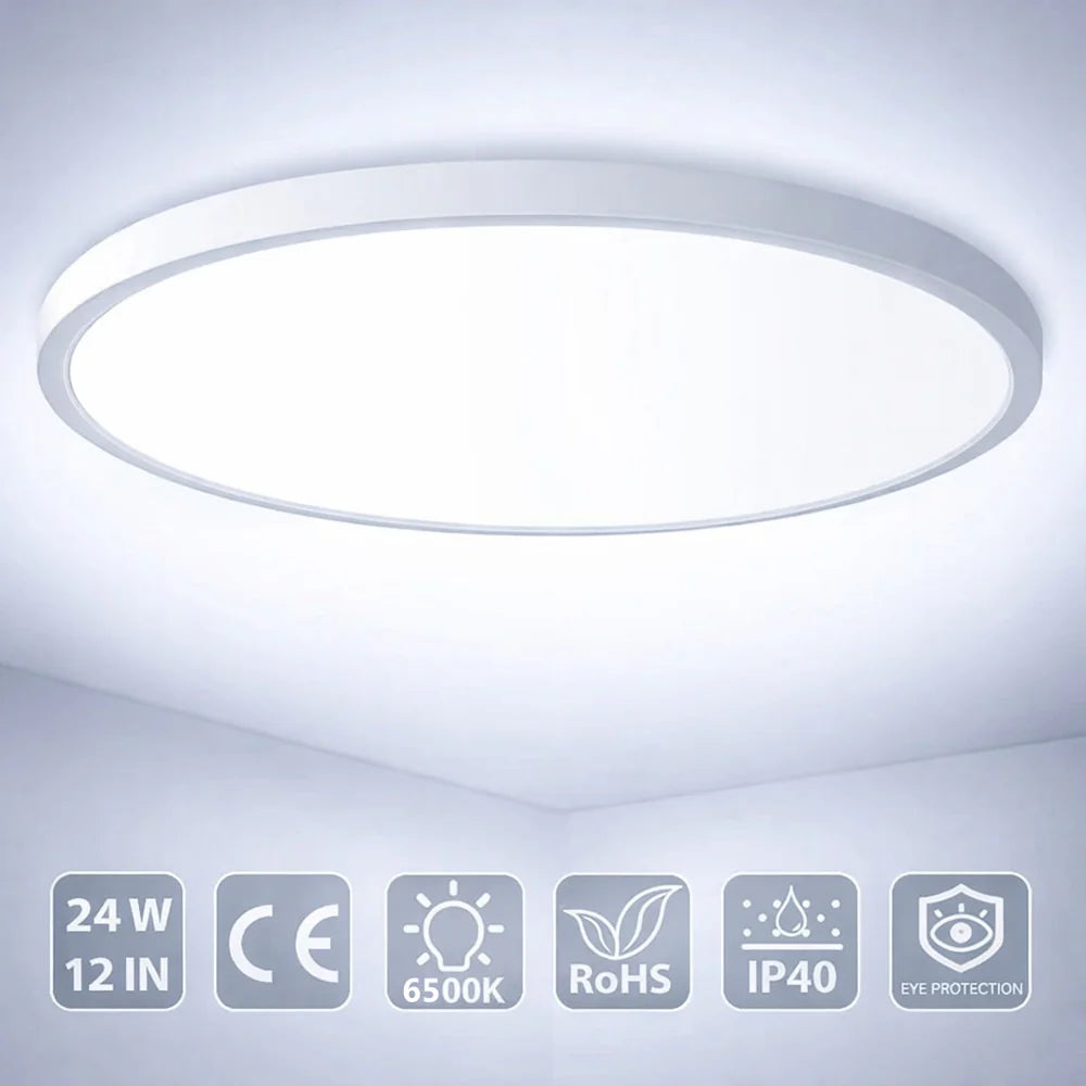 12 Inch Round 24W White LED Ceiling Light, 3000K / 4500K / 5000K / 6500K Flush Mount Ceiling Light Local Stock (US/UK/DE)