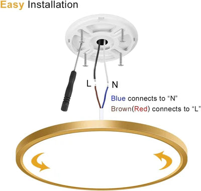 12 Inch 24W White / Gold Round Ceiling Light – AC 110–130V | 3000K / 4500K / 5000K / 6500K | Flush Mount Ceiling Light for Modern Home Lighting | 1-Pack – Local Stock (US)