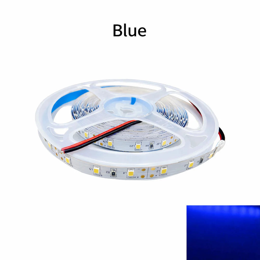 DC24V SMD2835 Single Color LED Strip Light | 5M | 60 LEDs/m | 8mm PCB | 0.2W per LED | High Brightness | IP00 / IP67 | Warm White / Natural White / Cool White / Blue | for Mirror, Kitchen Cabinet, Bedroom