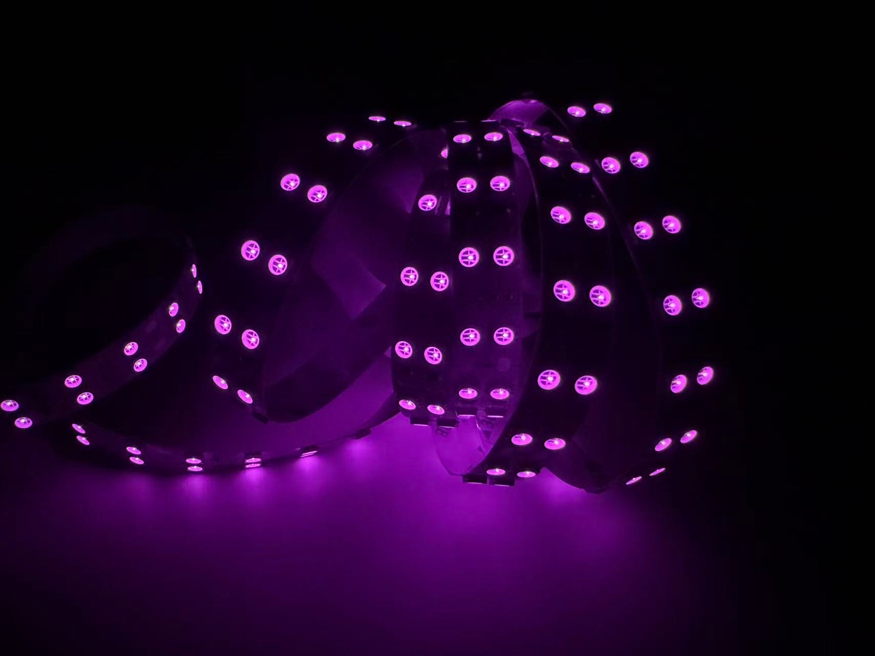 810nm SMD5050 DC12V Infrared LED Strip Light – High Power Near IR for Therapy, 30/60/120 LEDs/m, 5 Meters, IP00/IP65