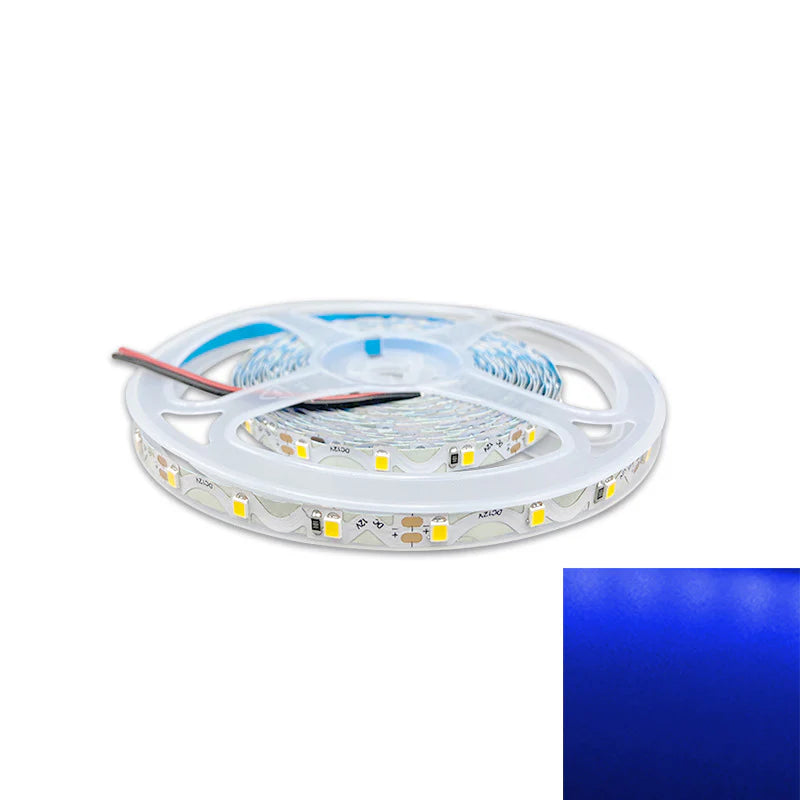 DC12V SMD2835 S-Shape LED Strip Light | 5M | 60 LEDs/m | 6mm PCB | High Brightness Low Voltage LED Tape | Non-Waterproof | Warm White / Natural White / Cool White / Red / Blue / Golden Yellow / Green / Pink | for Mirror, Kitchen Cabinet, Bedroom