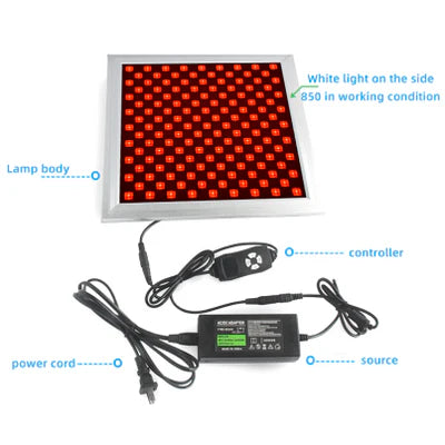 50W Infrared Therapy Lamp – Red Light 655–665nm & IR 850–860nm | Dimmable Timer | AC100–240V | Aluminum Alloy + PC Cover | Blue / Desktop Stand | for Skin Care & Muscle Relief | Controller & Goggles Included | US / EU / UK / AU Plug