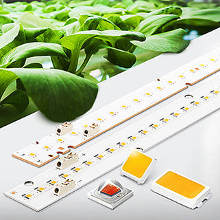 LED Grow Lights