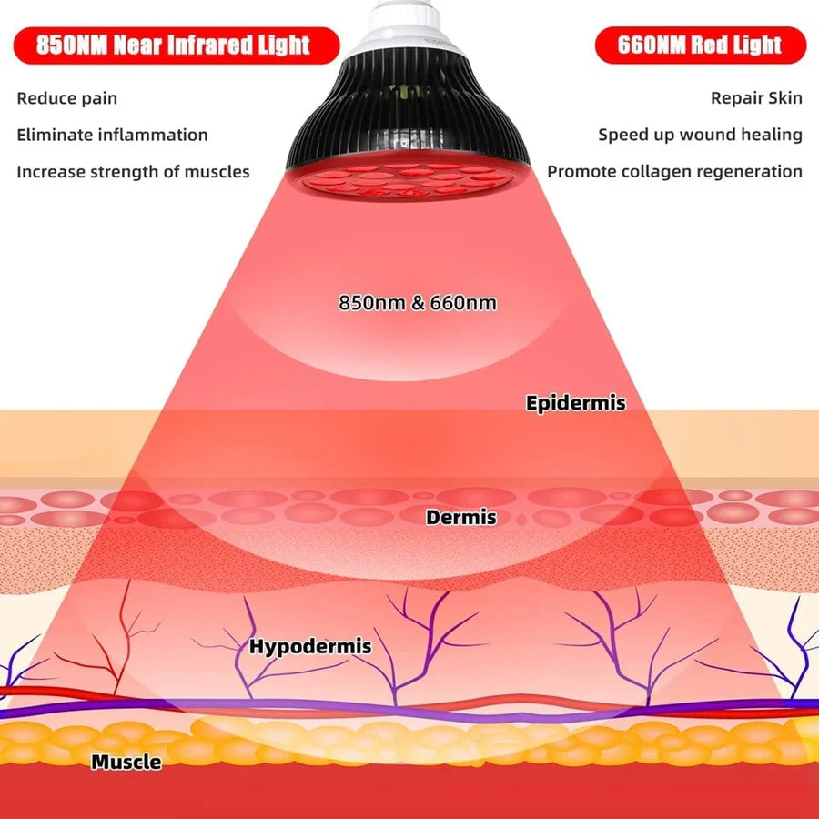 54W PAR38 Infrared Therapy LED Bulb – Dual Chip Red 660nm & Near Infrared 850nm | E26 / E27 Base | With / Without Desktop Clamp | Plug-In Design | for Skin Care & Muscle / Joint Relief | US / EU Plug