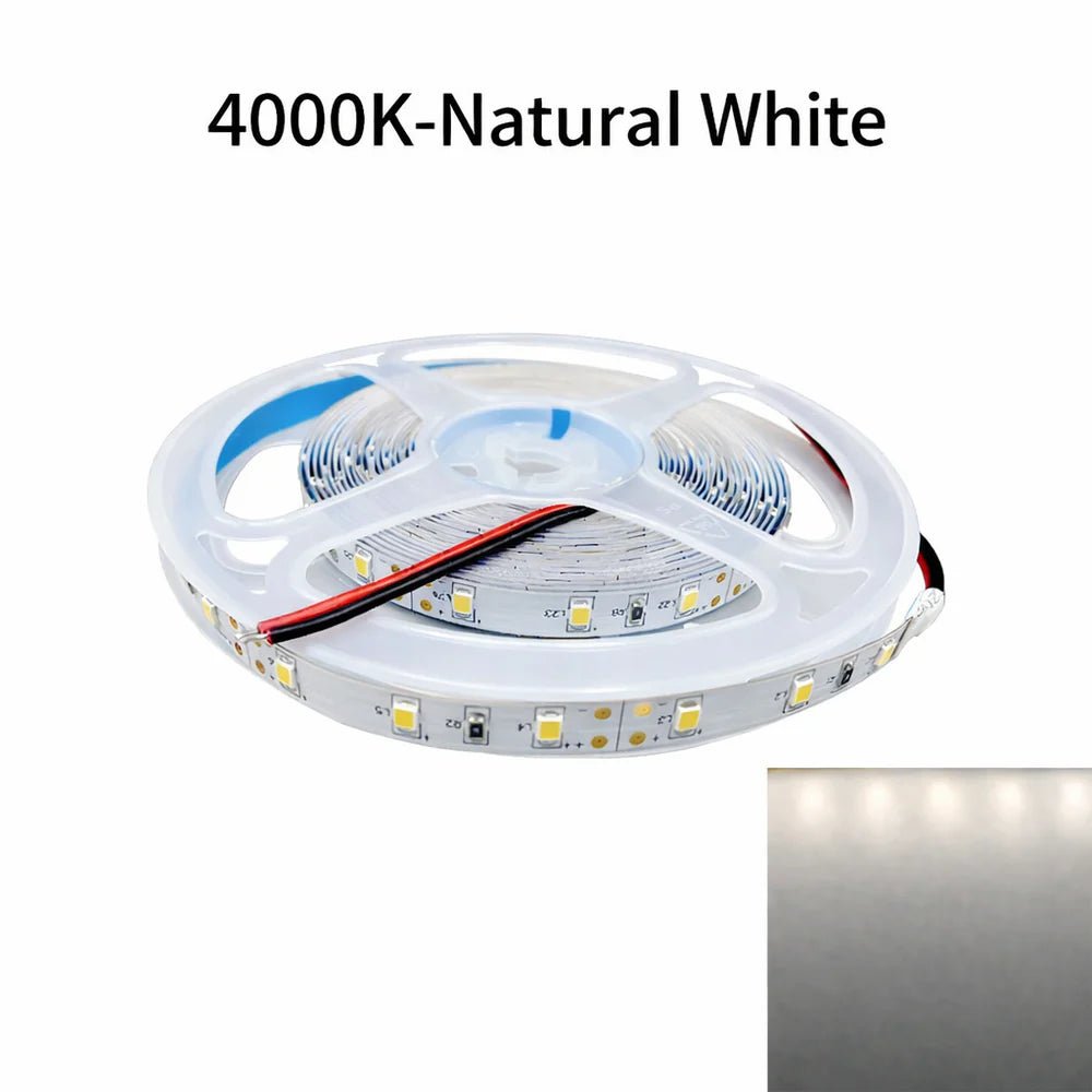 DC12V SMD2835 Single Color LED Strip Light | 5M | 60 LEDs/m | 8mm PCB | 0.2W per LED | High Brightness | IP00 / IP67 | Warm White / Natural White / Cool White / Blue | for Mirror, Kitchen Cabinet, Bedroom