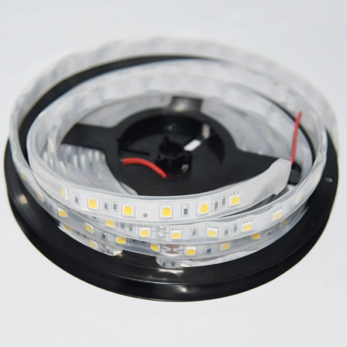 SMD5050 LED Strip Light, 5m Roll | 12V DC | 60 LEDs/m | 12W/m | Standard & High Brightness Options (10–12lm / 20–22lm per LED) | White 3000K / 4000K / 6000K | IP00 / IP67