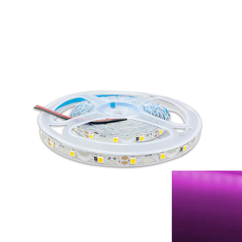 DC12V SMD2835 S-Shape LED Strip Light | 5M | 60 LEDs/m | 6mm PCB | High Brightness Low Voltage LED Tape | Non-Waterproof | Warm White / Natural White / Cool White / Red / Blue / Golden Yellow / Green / Pink | for Mirror, Kitchen Cabinet, Bedroom