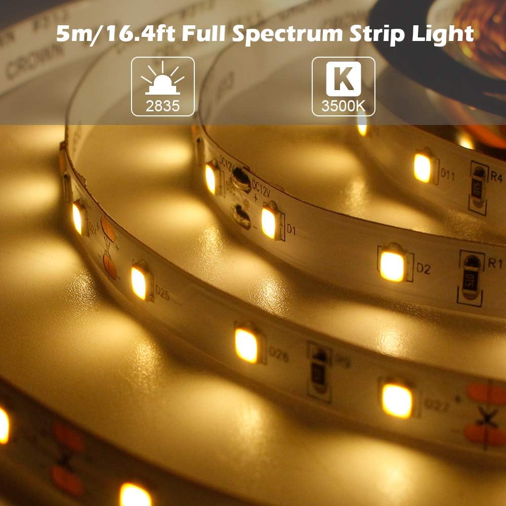 LightingWill Advanced Full Spectrum CRI97 LED Strip Light, Natural Sunlike Spectrum, SMD 2835 300LEDs 16.4Ft/5M Warm White 3000K-3500K DC12V 60W, Non-Waterproof