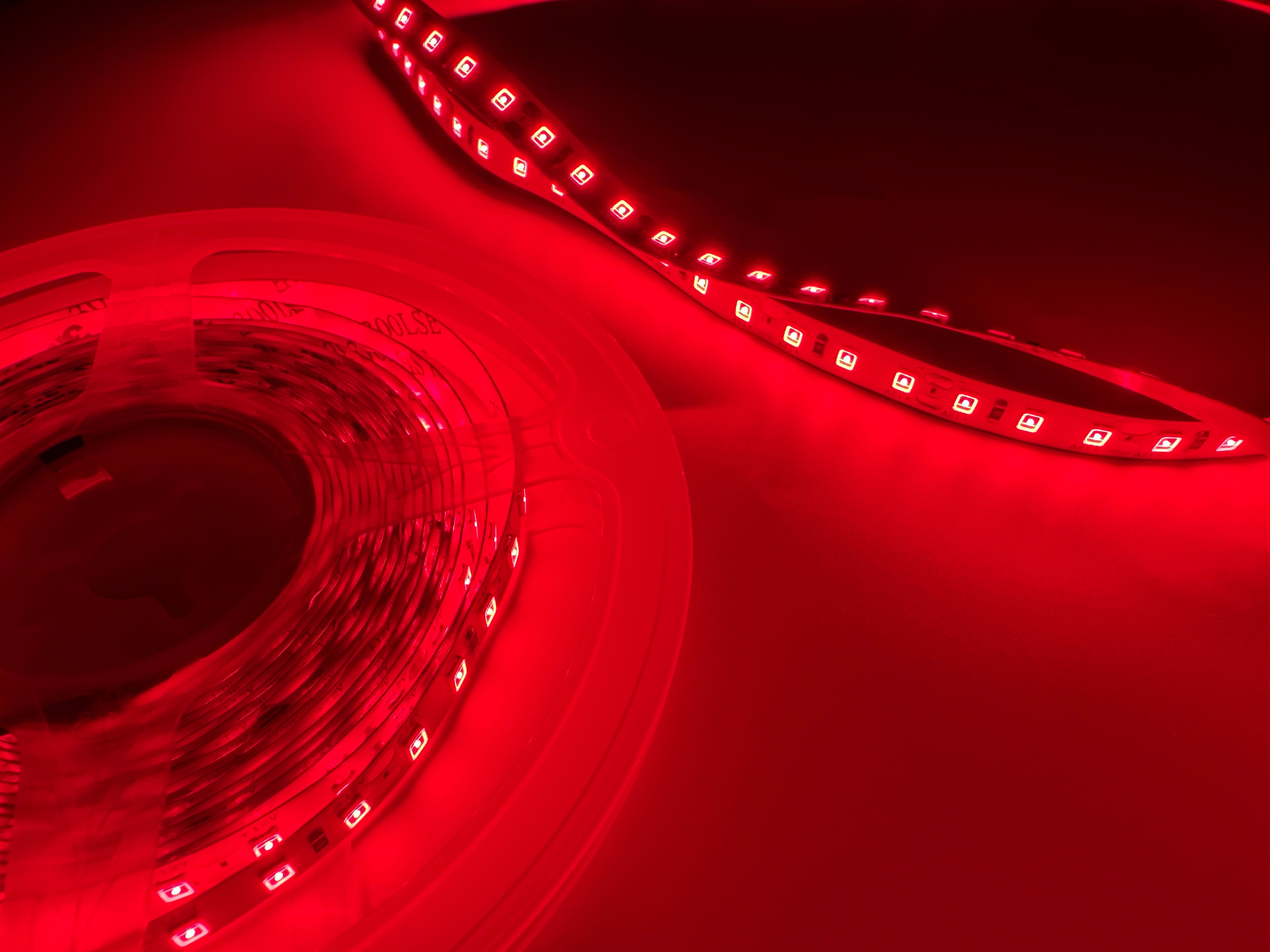 660–670nm SMD2835 DC12V Red LED Strip Light – Deep Red Light for Therapy & Growth, 60/120/240 LEDs/m, 5 Meters, IP00/IP65
