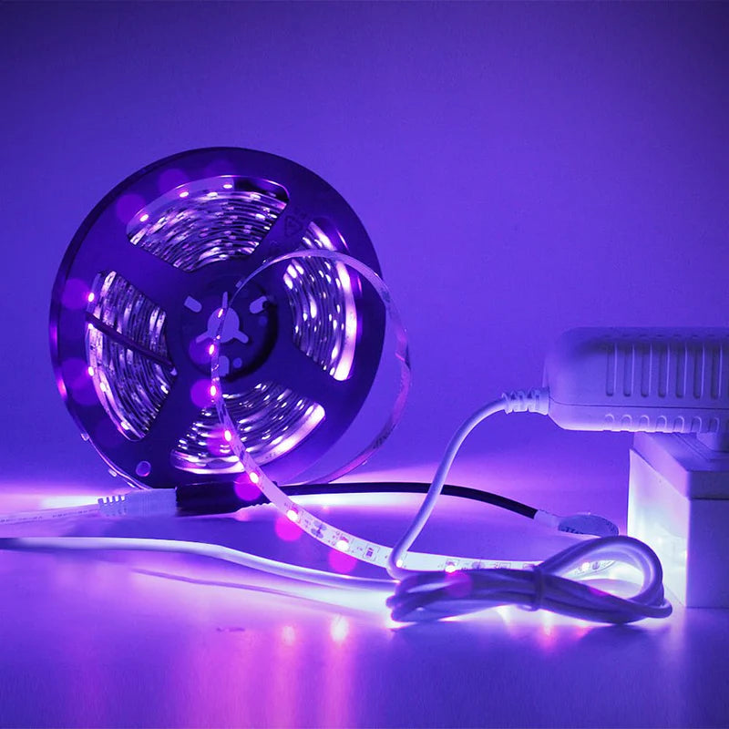 Power Supply Adapter DC 12V 12W–36W, AC 100–240V Wall Plug Transformer with US Plug, White Case LED Driver for LED Strip Lights, CCTV, Electronics