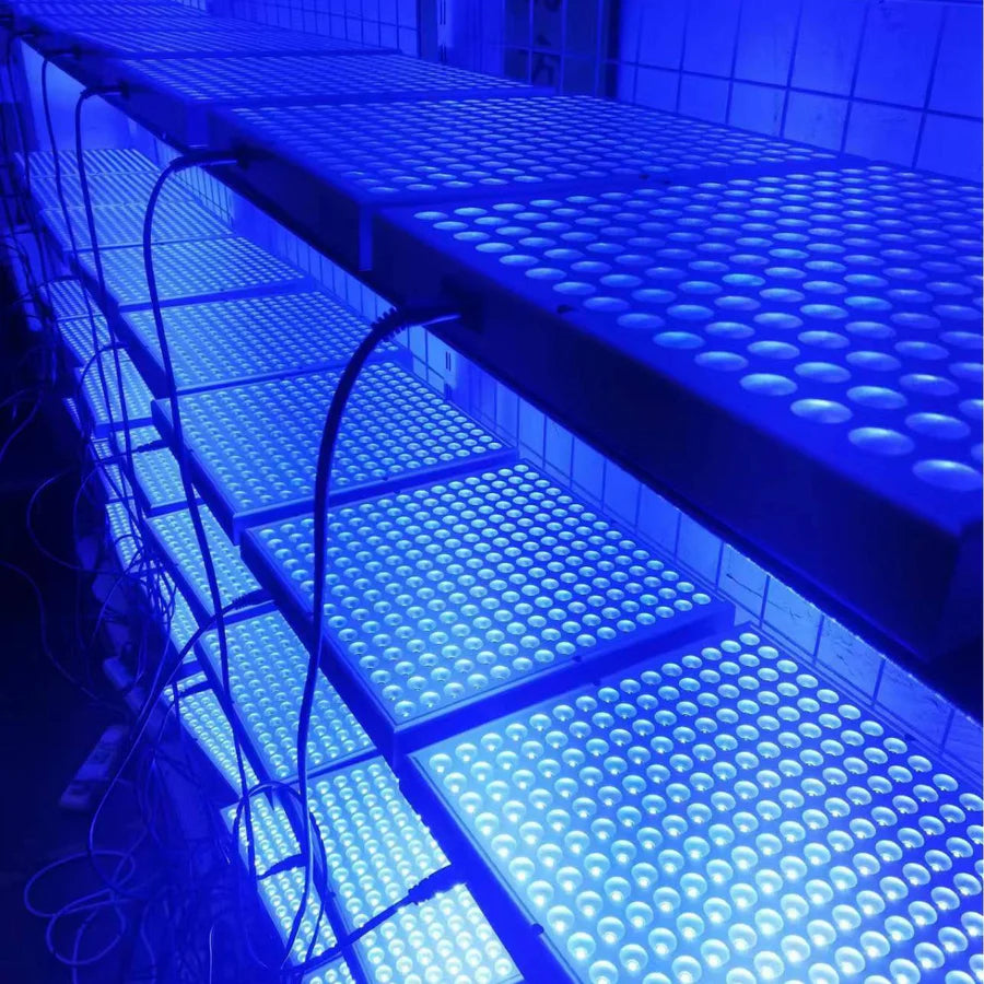 20W Floor Standing Blue Light Tanning Lamp – Blue Light 460–465nm | Dimmable Timer | AC100–240V | Aluminum Alloy + PC Cover | Floor Stand Included | for Skin Tanning & Bronze Tone | US / EU Plug