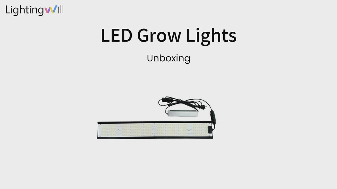 Real LightingWill Order