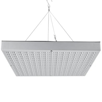 20W Floor Standing Infrared Therapy Lamp – Red Light 655–665nm & IR 850–860nm | Dimmable Timer | AC100–240V | Aluminum Alloy + PC Cover | Floor Stand Included | for Skin Care & Muscle / Joint Relief | US / EU Plug